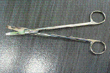 ma_service_01